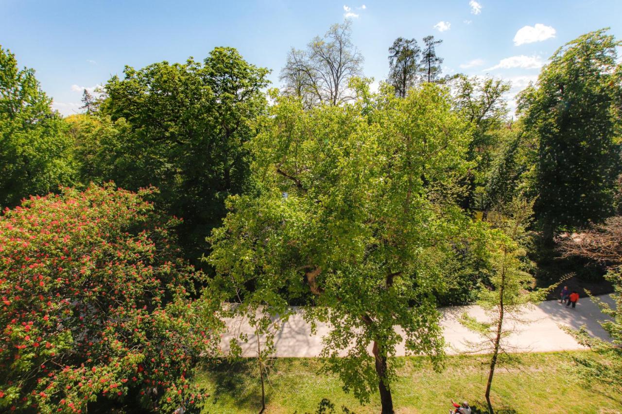 Maison Labruyere Bordeaux - Jardin Public Екстер'єр фото
